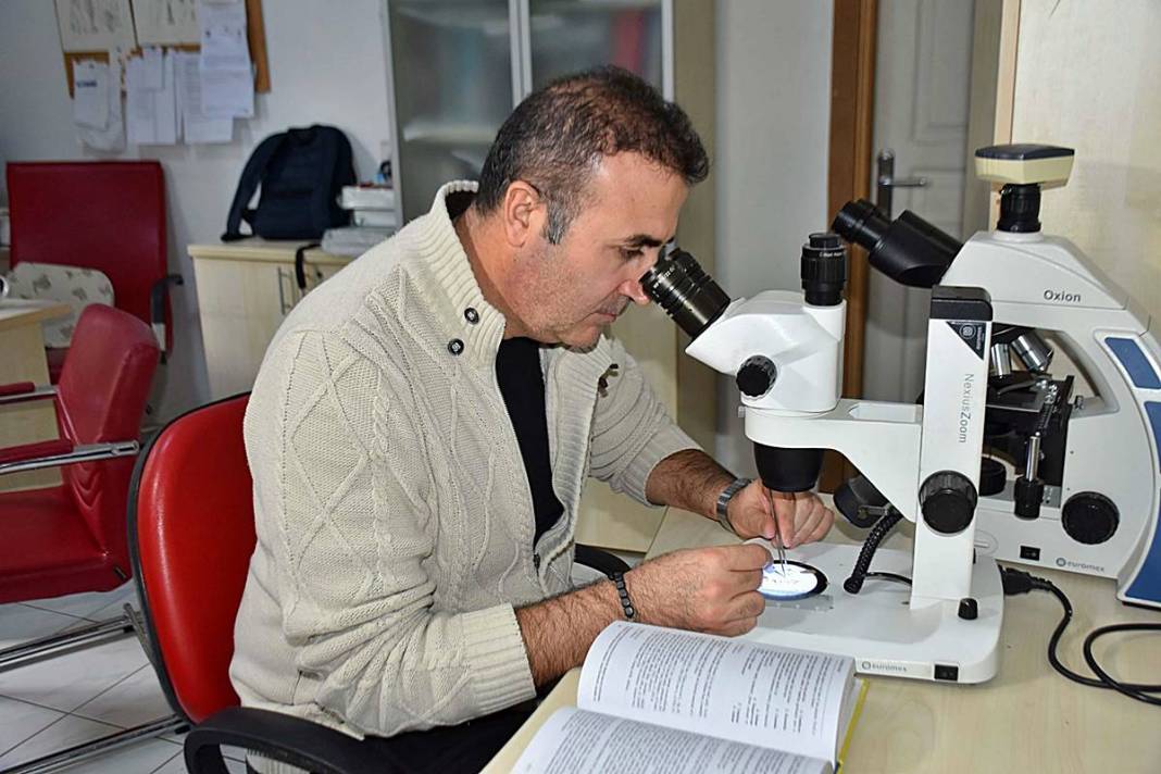 İzmir'in dağlarında endemik çiçekler açtı! 6